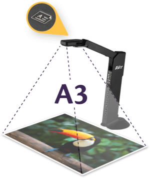 AVerVision M11-8MV