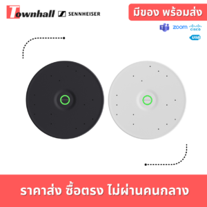 ไมค์เพดาน